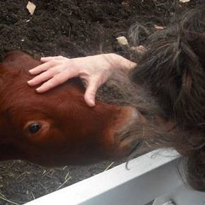 Meet your Posher, Sue