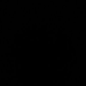 Meet your Posher, Ashlyn