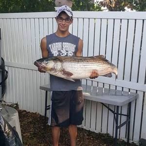 Meet your Posher, Ryan