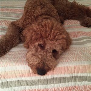 Meet your Posher, Marilyn