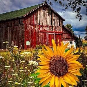 Meet your Posher, Pat