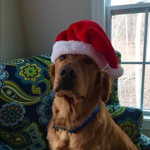 Meet your Posher, Clint