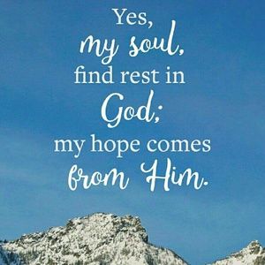 Meet your Posher, Lili