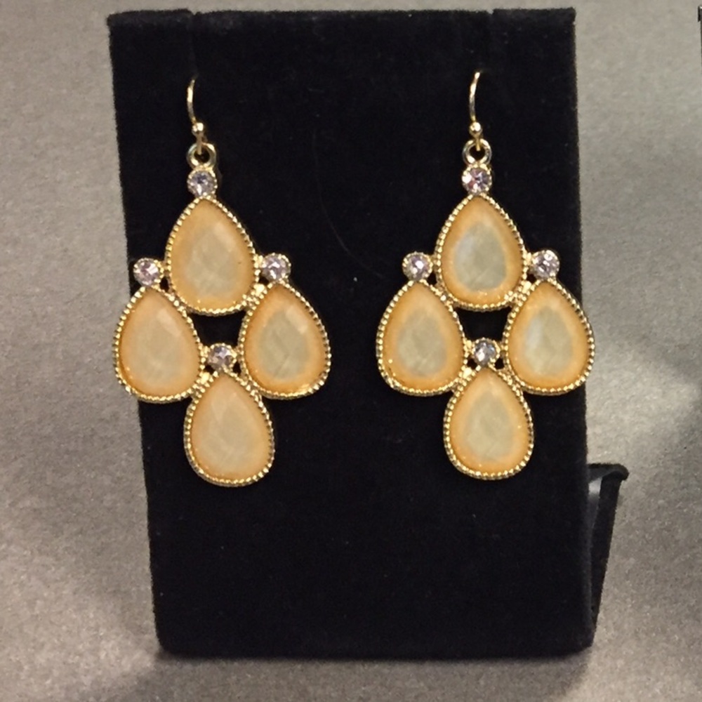 Pearlized Dangle Earings