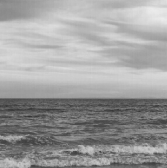 Meet your Posher, Maxine - Picture 1 of 1