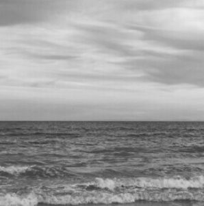 Meet your Posher, Maxine