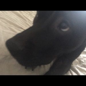 Meet your Posher, Kathy