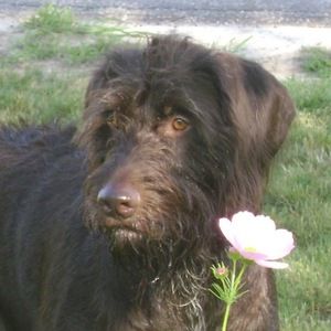 Meet your Posher, Patti