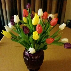 Meet your Posher, Michele