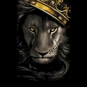 Meet your Posher, Ben