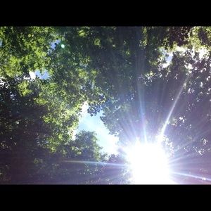 Meet your Posher, Dan