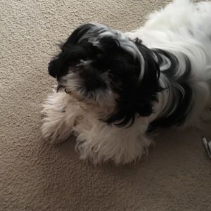 Meet your Posher, Janette