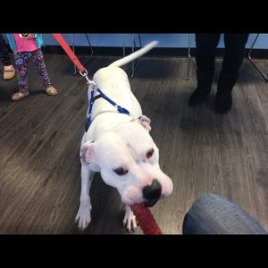 Meet your Posher, Jeff