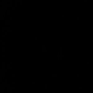 Meet your Posher, Patty