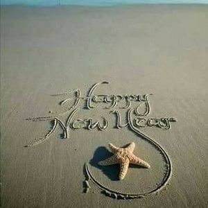 Meet your Posher, Sandy angeline