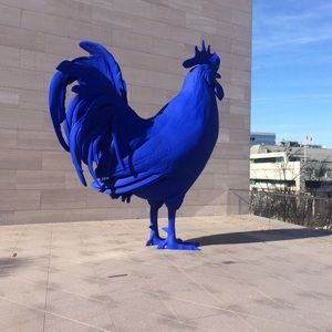 Meet your Posher, Irene