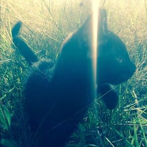 Meet your Posher, Olivia