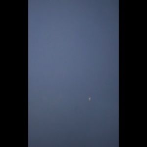 Meet your Posher, Robin