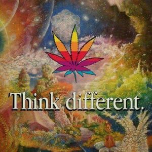 Meet your Posher, Don