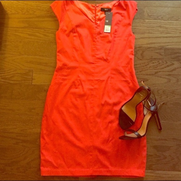 Missimo Stretch Orange dress! Great for work. - Picture 1 of 3