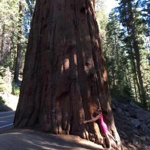 Meet your Posher, Lindsay