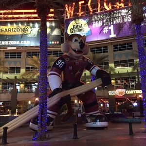 Meet your Posher, Haley