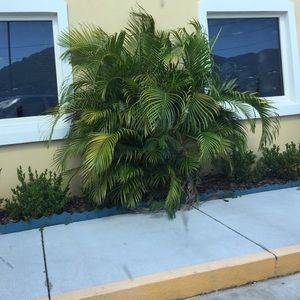 Meet your Posher, Rodney