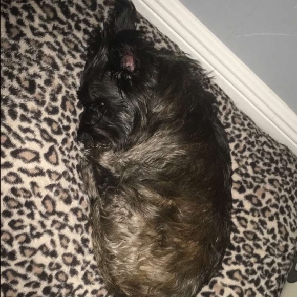 Meet your Posher, Kennedy