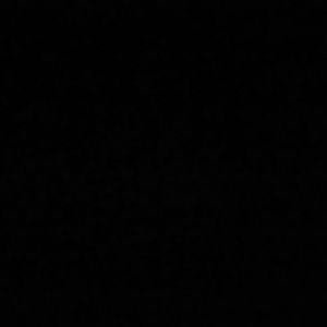 Meet your Posher, Laurel