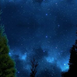 Meet your Posher, Isabelle