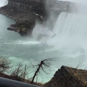 Meet your Posher, Haidar