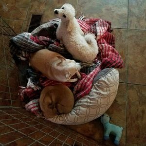 Meet your Posher, Graciela