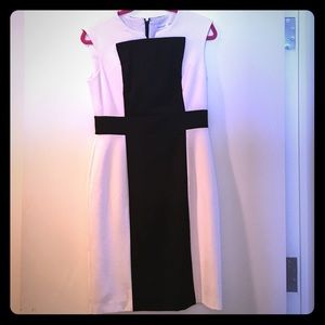 Calvin Klein Black and White Dresd