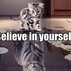 Meet your Posher, Angela