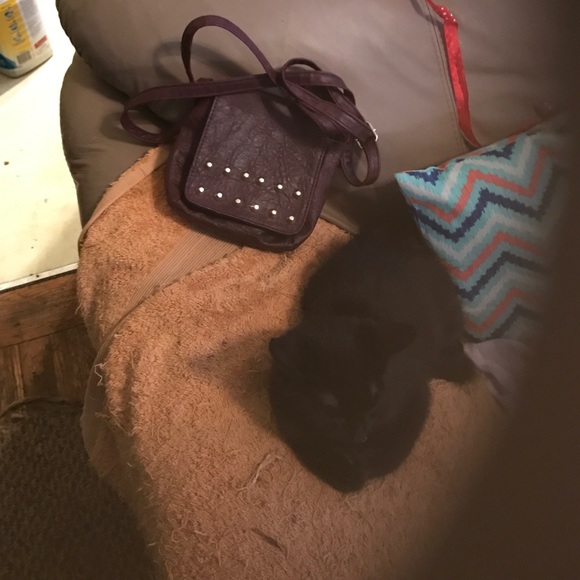 Payless wristlet
