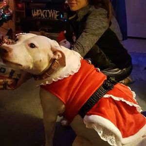 Meet your Posher, Shelly