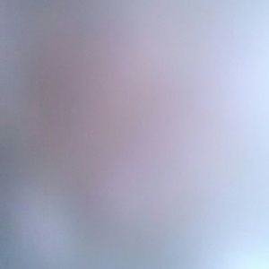 Meet your Posher, Josefina