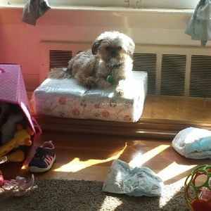 Meet your Posher, Jacki