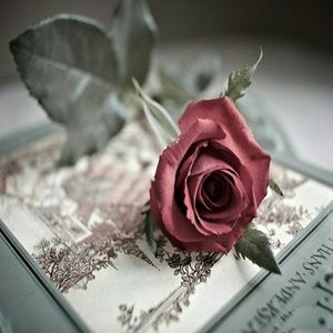 Meet your Posher, Lorena