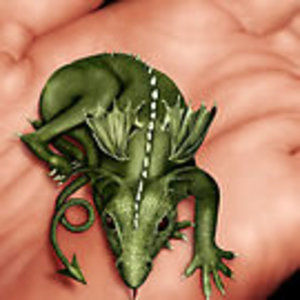 Meet your Posher, Kathleen