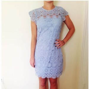 Endless Rose Lace Shift Dress in power blue