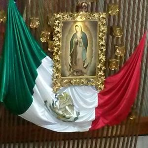 Meet your Posher, Adriana v