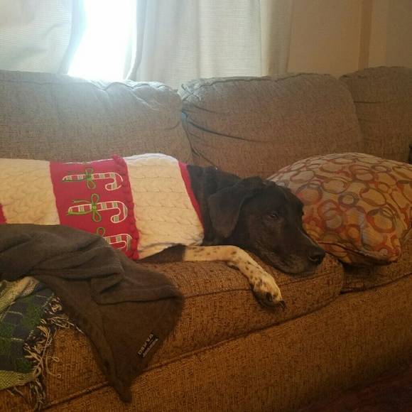 Meet your Posher, Autumn