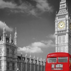 Meet your Posher, Allie