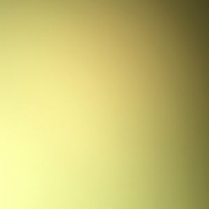 Meet your Posher, King