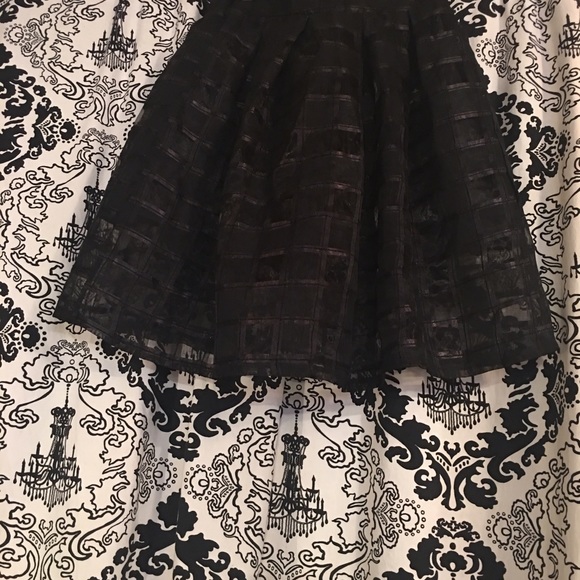 Black sheer skirt