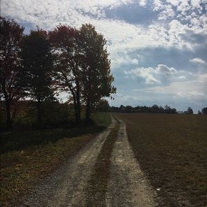 Meet your Posher, Lexi