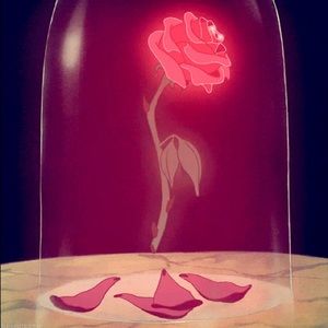 Meet your Posher, Dewanda