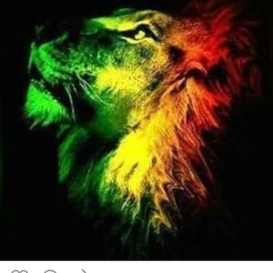 Meet your Posher, Dino