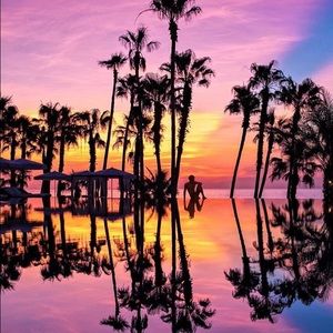 Meet your Posher, Allie